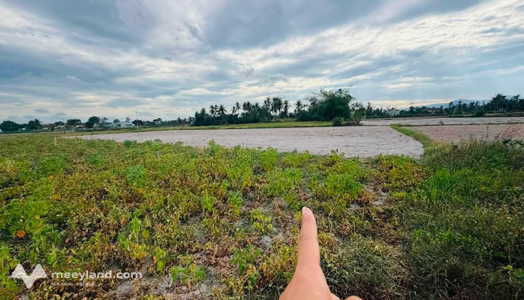 Đất trồng cây 1200m2 giá 90 triệu, cơ hội vàng cho nhà đầu tư nhanh tay