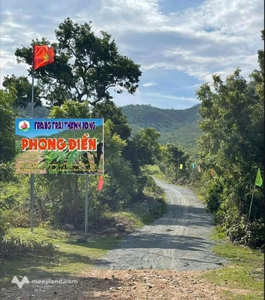 Chính chủ cần tiền hạ giá bán trang trại 17.7 ha tại xã Phú Lạc, Tuy Phong, Bình Thuận