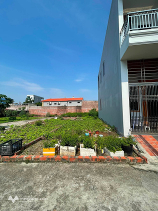 Đất đẹp Tân Dương, Thủy Nguyên, vị trí vàng, giá cực sang