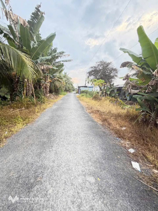 Đất vườn view sông cực chill tại Phú Quới, Vĩnh Long