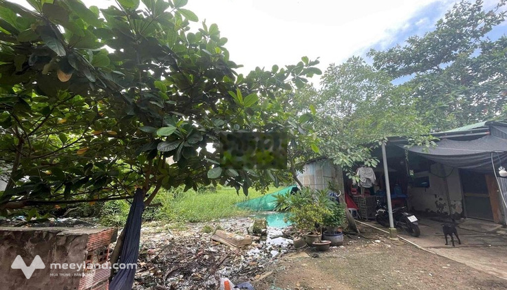 cho thuê đất làm phòng trọ, bãi xe, sân pickle ball