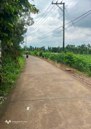 Mảnh đất bình yên tại Cẩm Mỹ, Đồng Nai - Nơi khởi đầu cho những dự định tương lai