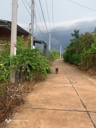 Sốc! Lô đất cuối cùng view núi Xuân Lộc, giá rẻ nhất khu vực