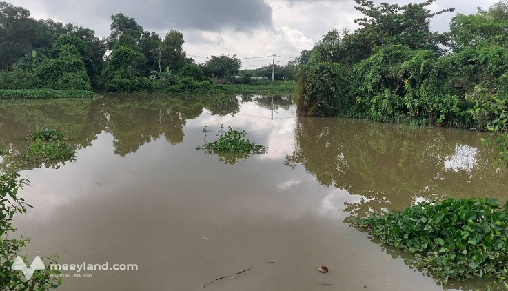 Săn đất view sông tháng Ngâu - Món quà báo hiếu tuyệt vời cho cha mẹ