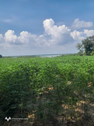 Bán đất xã Minh Hòa, View Hồ Dầu Tiếng, Bình Dương, giá 47 tỷ