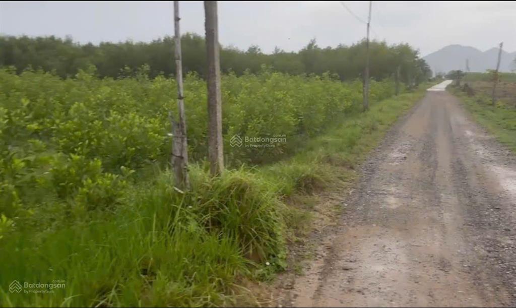 Bán lô đất thôn xóm mới, xã tây ninh hòa, dt 10.658 m2