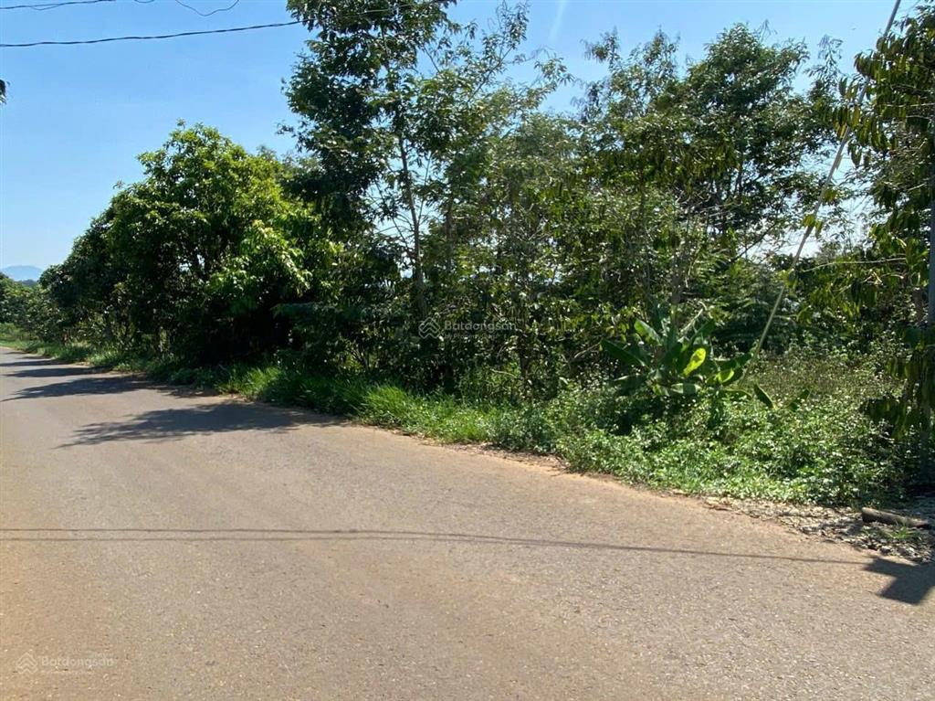 Bán đất 1000m2 thổ cư mặt đường liên xã hòa ninh, lâm đồng