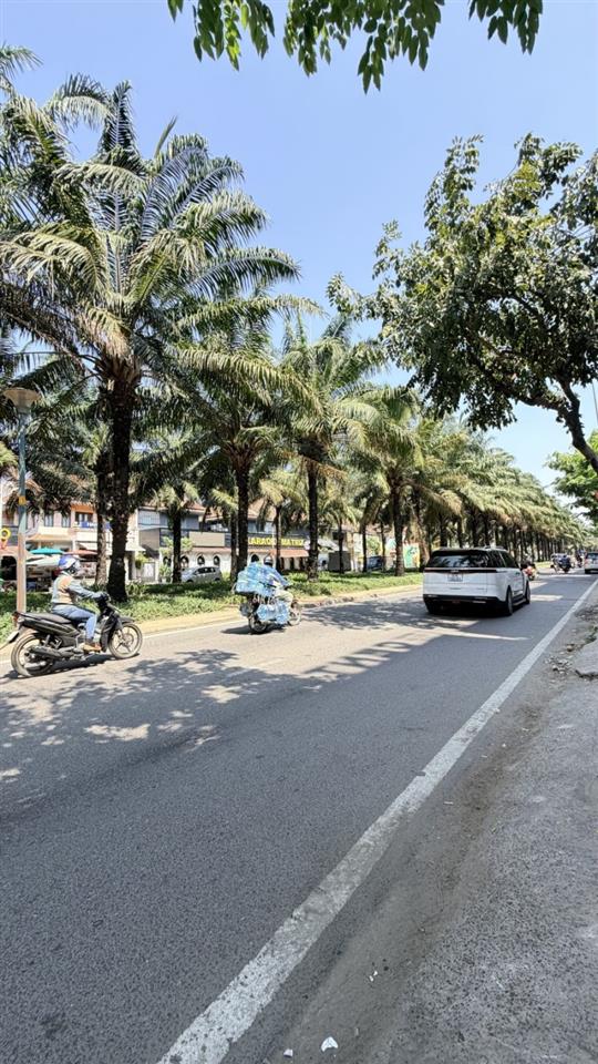 Bán nhà Mặt tiền Đường số 9A, trục Chính KDC Trung Sơn, 10x20m, 8 T- 12PN, chào 66 tỷ.