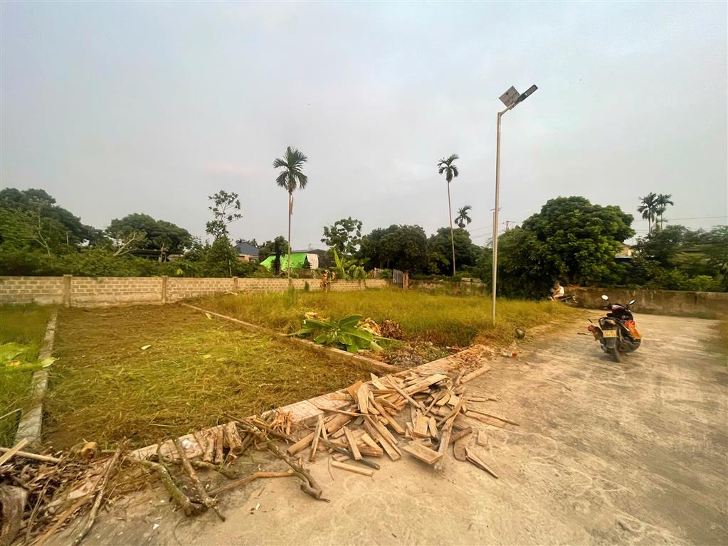 CHÍNH CHỦ CẦN BÁN ĐẤT THƯỢNG TRANG – BÁT TRANG, AN LÃO, HẢI PHÒNG