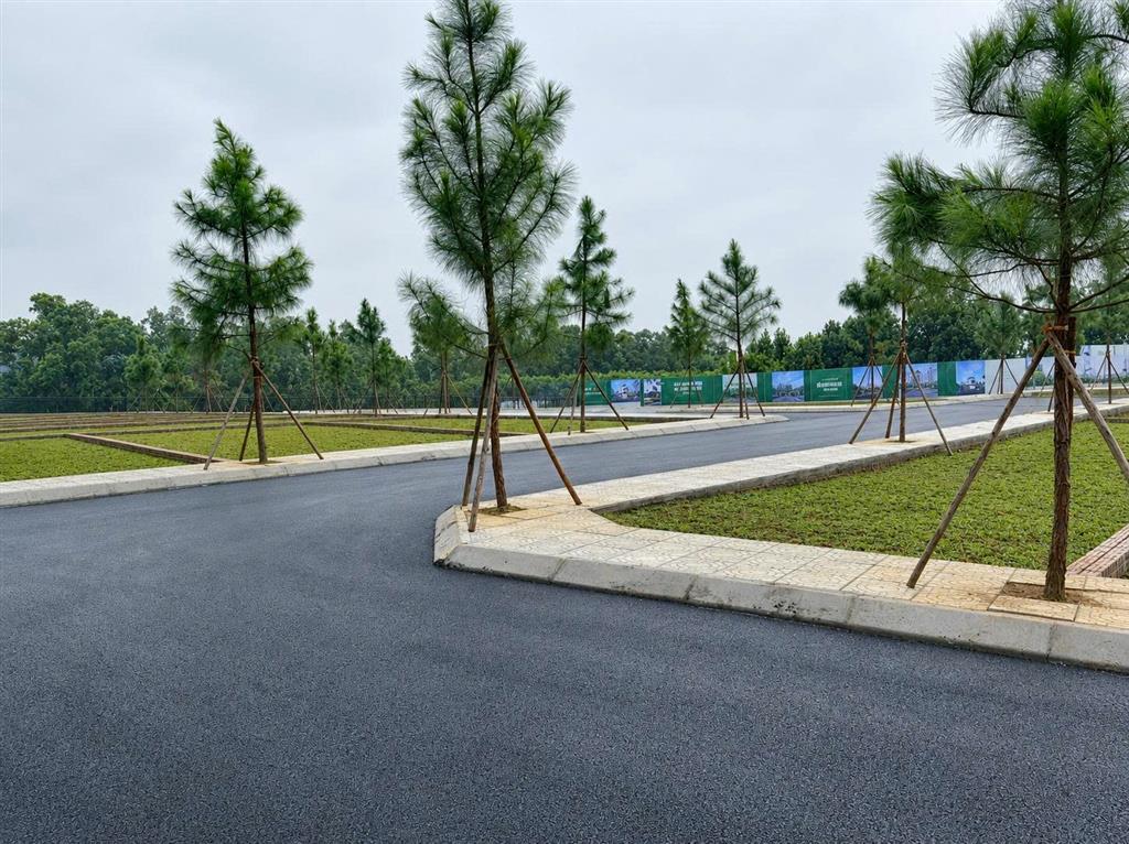 Chỉ 18tr.m2 đất Cổ Đông Sơn Tây, sát ql21a Trục Hồ Tây Ba Vì và khu Công Nghệ Cao Hoà Lạc