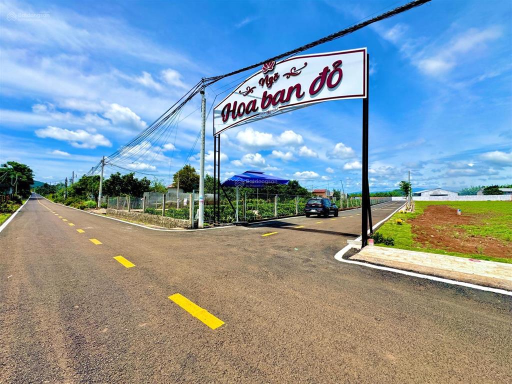 Bán gấp lô đất đường nhựa 8m tại hoa ban đỏ, liên hiệp, đức trọng cũ, 5x29m, 75mtc, giá 1,180 tỷ