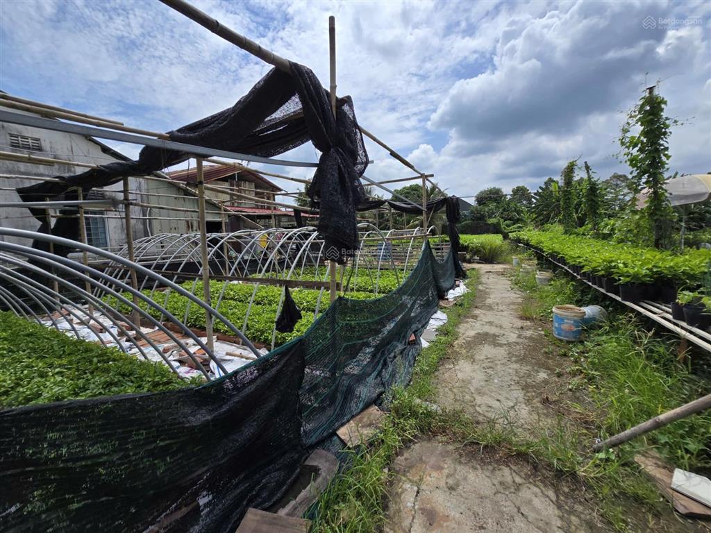 Bán 2.000m2 đất có nhà tại sa đéc, đồng tháp gần làng hoa, trung tâm hoa hoa kiểng 0903 969 ***