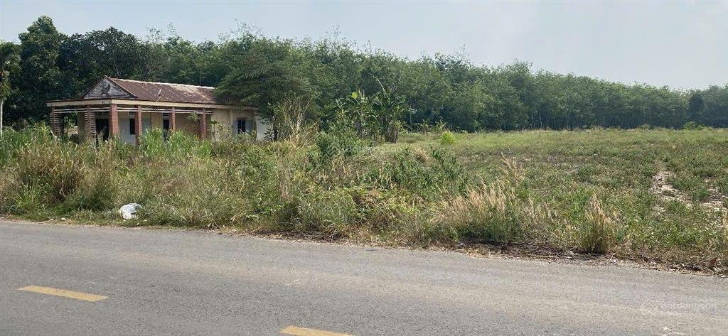 Cần bán gấp lô đất mặt tiền đường nhựa giá rẻ tại long nguyên, bàu bàng, bình dương