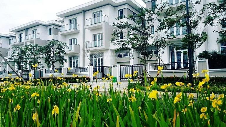 Mới ra căn liền kề mặt vườn hoa 140m2 khu k4 giá 49 tỷ 0915 568 ***