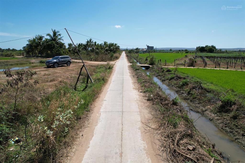Bán đất 500,1100,2000m2 tại hải ninh, bắc bình, bình thuận. giá siêu hời chỉ với 99 triệu