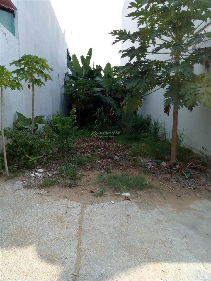 Chính chủ bán đất phường long bình, tp. hồ chí minh