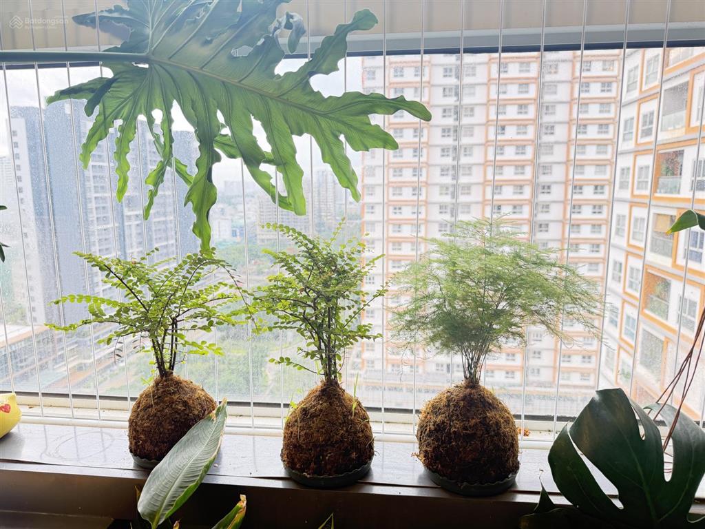 Chính chủ cần bán dragon hill nguyễn hữu thọ, thiết kế 2pn, nhà đẹp view pmh