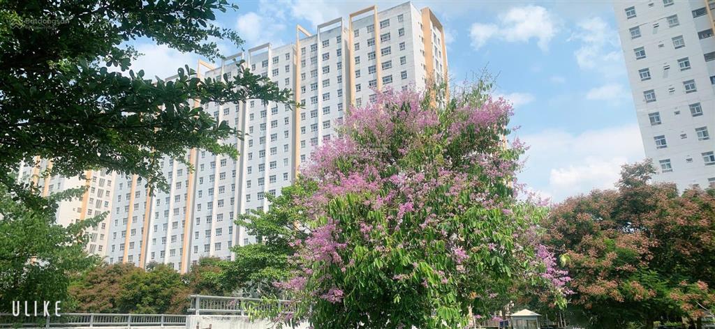 Bán giá hời phường hiệp bình thủ đức căn hộ sunview town 45m2 1pn 1wc sẵn sổ hồng công viên hồ bơi