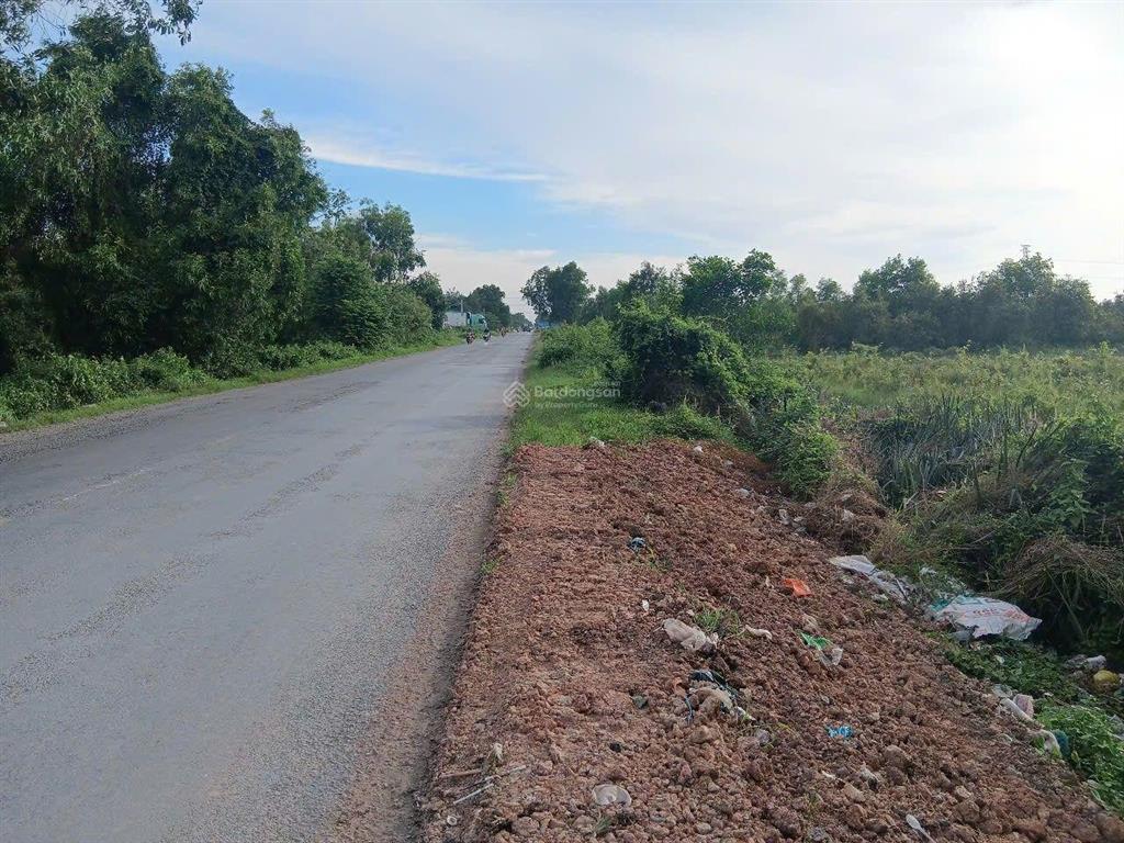 Bán hơn 5,9ha đất mặt tiền n2 thạnh lợi bến lức long an 0977 570 ***