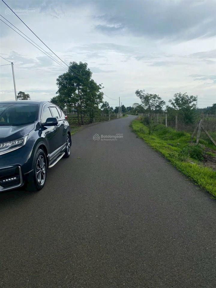 2,6tr/m2 full hồng cạnh dự án vin châu đức 1000ha, đường nhựa