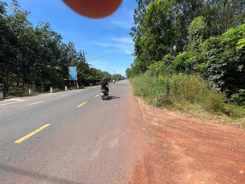 Gia đình cần bán 22ha (22 hecta) 1000m mặt tiền đường sỏi đỏ, xã minh hòa gần hồ dầu tiếng