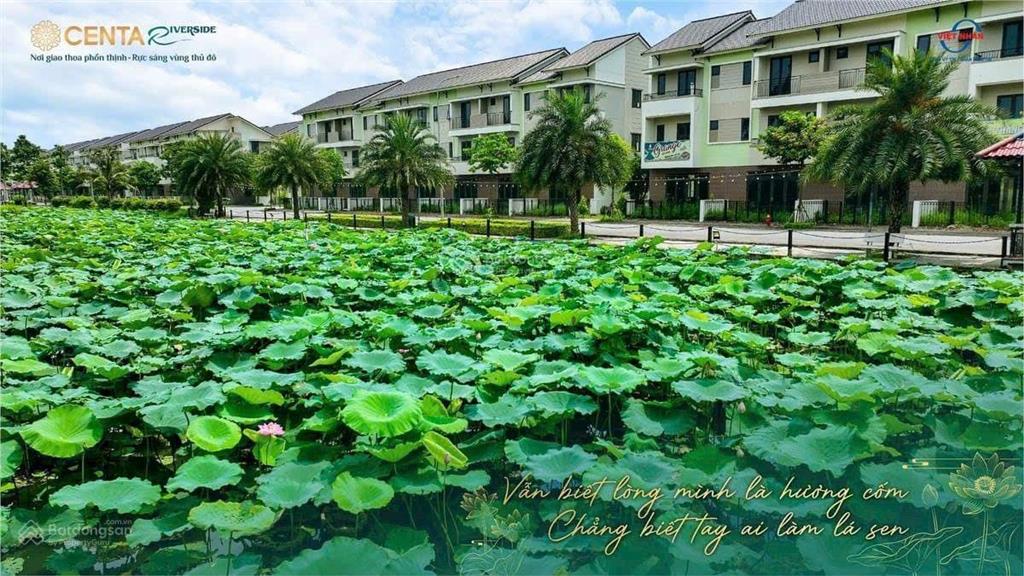 Sở hữu shophouse siêu đẹp giá rẻ như chung cư