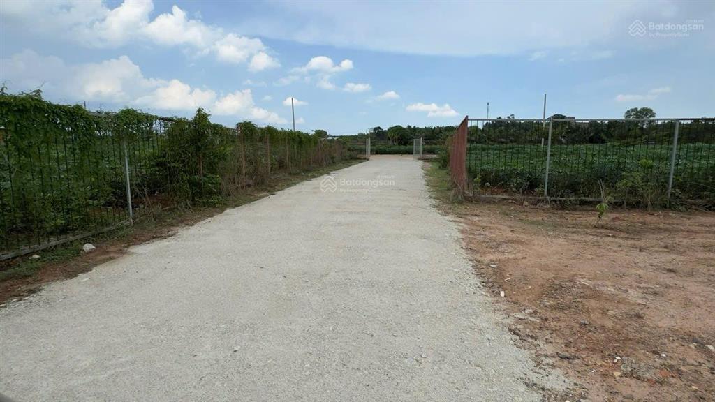 Cần bán gấp 1,2 ha đất, đã có 550 m2 thổ, phường hắc dịch, phú mỹ, brvt. giá 17,5 tỷ. 0936 116 ***