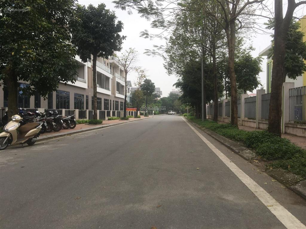 Bán gấp biệt thự song lập đặng xá/diện tích 240m² mt 15m/hoàn thiện đẹp/dòng tiền ổn định
