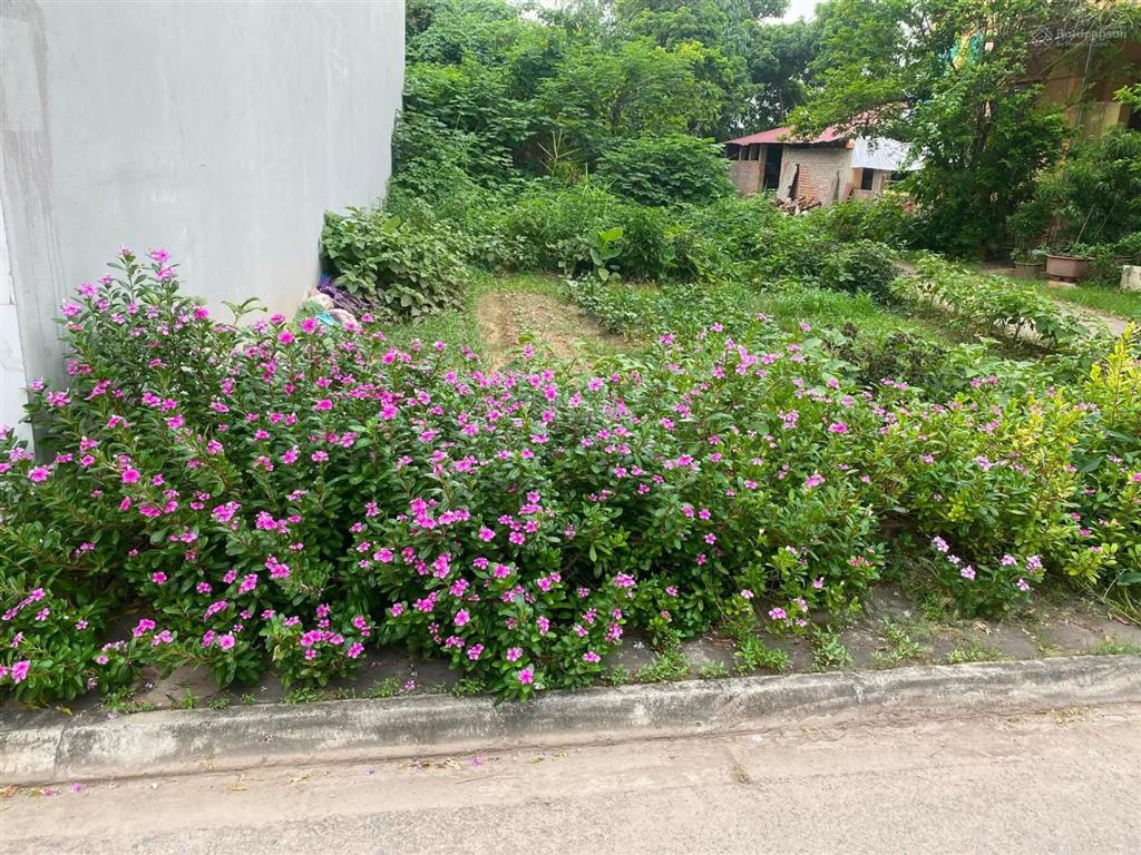 Không phải nơi để ở nhà là nơi để về 6 tỷ hơn view hồ ô tô tránh trước nhà gia lâm