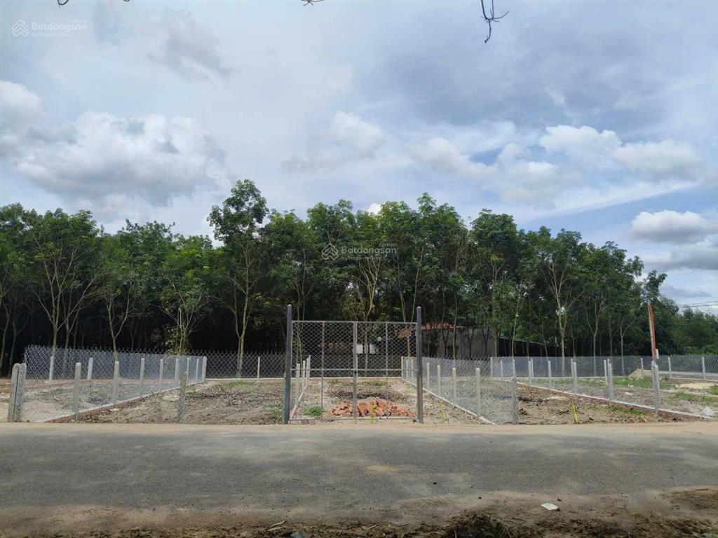 Lô góc mt nhựa đẹp nách, đường tỉnh lộ 7, 331m2 (cln), shr, 795tr