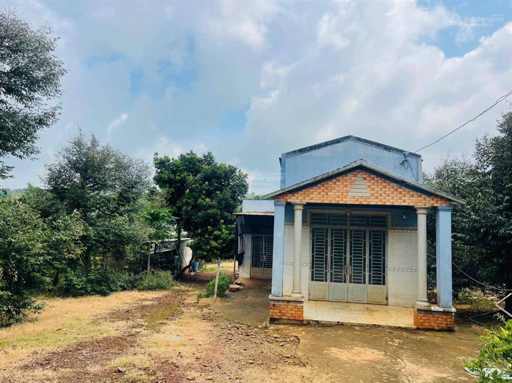 Nhà vườn 2273m2 (300m2 thổ cư) ngang 28m nở hậu 40m nhà + vườn cây ăn trái