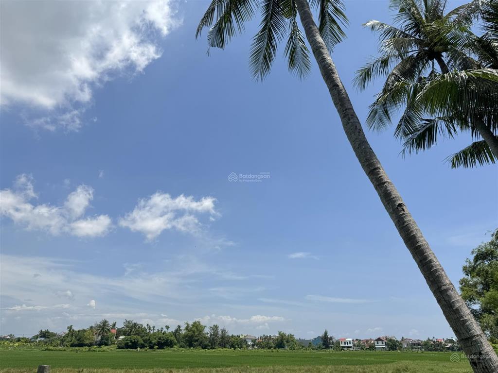 Hàng hiếm bán đất view lúa lên đến 55m vị trí thích hợp cho nhà đầu tư du