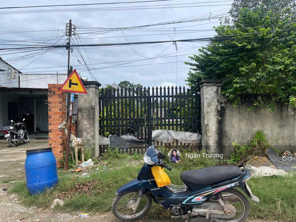 Đất đẹp hòa bình an hòa trảng bàng, gần kcn thành thành công, 658m² shr giá sh 1 tỷ 5
