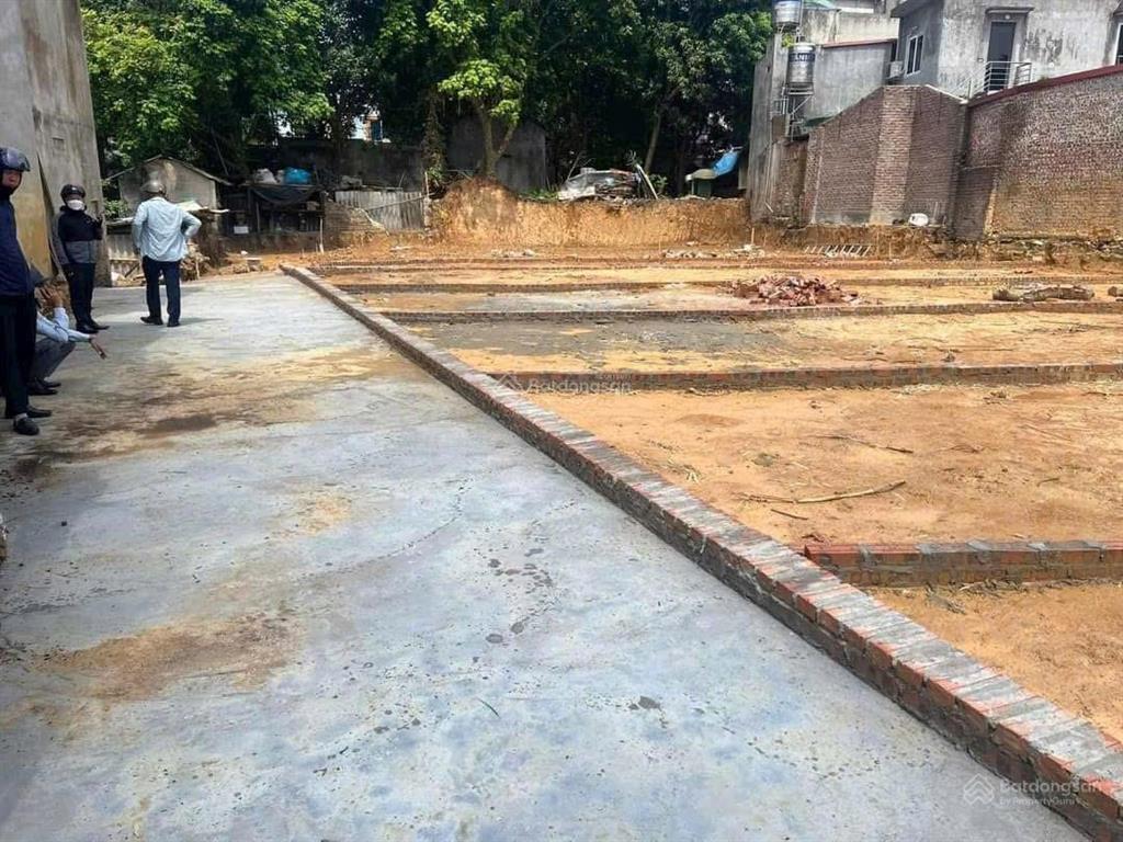 Bán 1 lô đất 3.650 tỷ. anh em nhanh lên mua ngay kèo hết cơ hội đất xóm mít, cổ loa