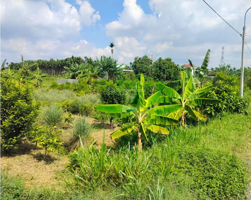 Bán đất tại phường yên thế, 2,15 tỷ, 200 m2, giá ưu đãi