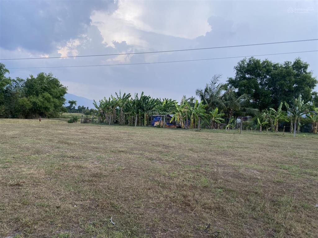 Hạ giá bán khu đất tại xã ninh bình, ninh hòa (nay là xã tân định), khánh hòa, giá tốt 9,3 tỷ