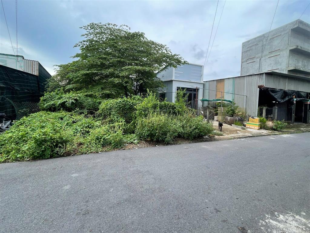 Đất khu dân cư xã tam thôn hiệp cần giờ tphcm, giá đầu tư