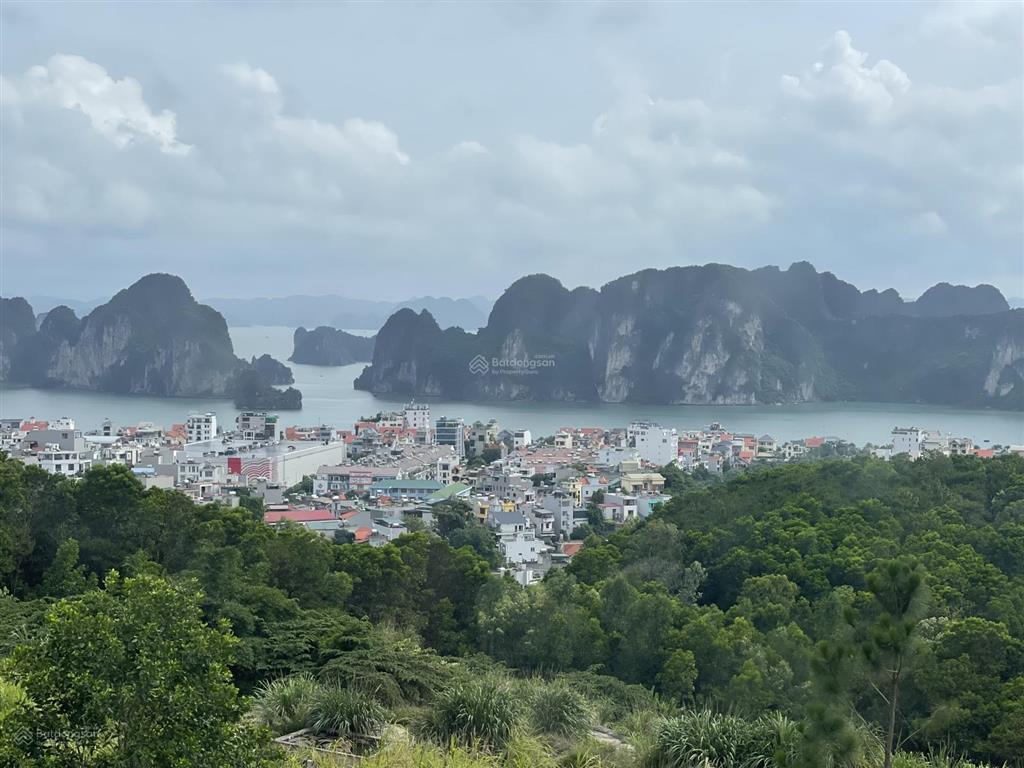 Biệt thự view trực diện vịnh hạ long giá chỉ 19 tỷ