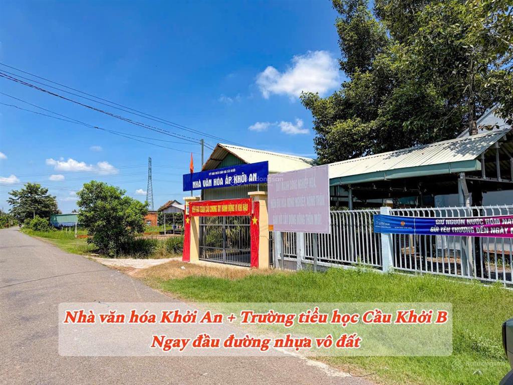 Vườn nhãn tây ninh 299tr | đất 5x40 nhãn đang cho thu hoạch