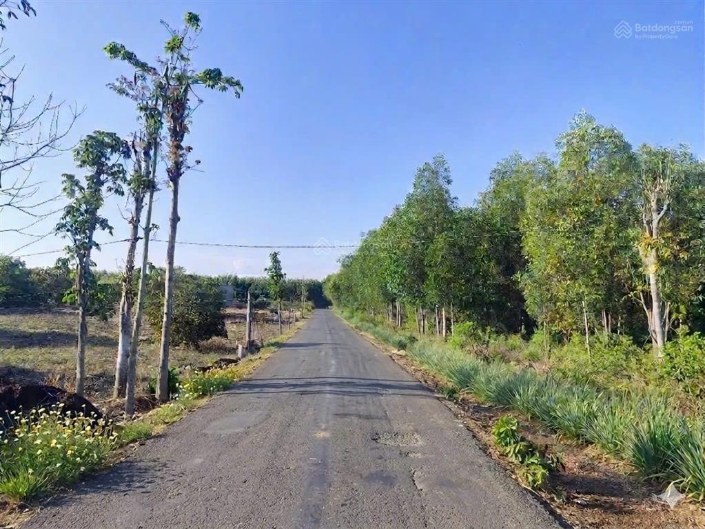 Hot! đất gần đường 91 cách kdl bình châu 5km