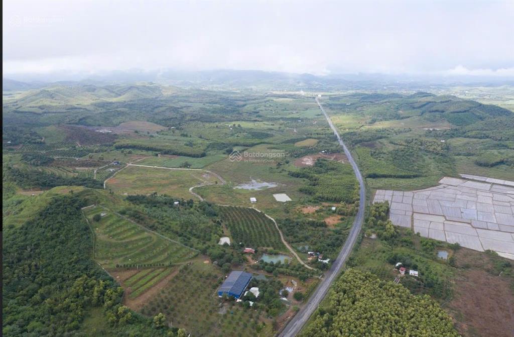 Bán 7,6ha đất sổ đỏ chính chủ diên thọ, khánh hòa. chỉ 200.000đ/m²
