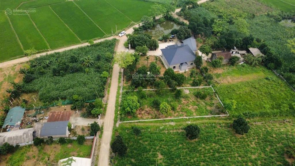 Nhỉnh 4 tỷ sở hữu ngay lô góc 600m2, có 150m2 thổ cư, view cánh đồng, vị trí đẹp