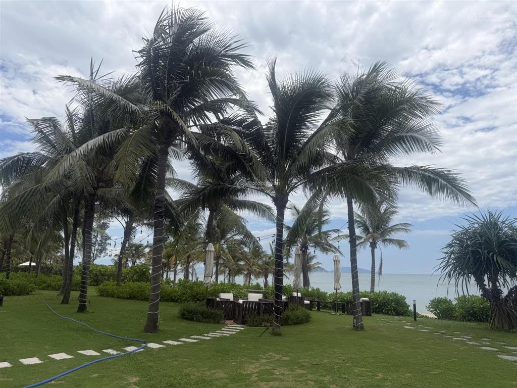 Bán bất động sản, 1440 m², Sơn Trà