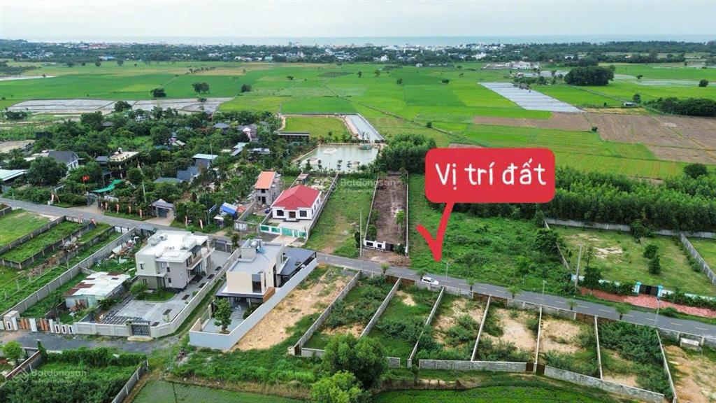 Siêu phẩm cung đường cánh đồng gió xã phước hải tp hcm