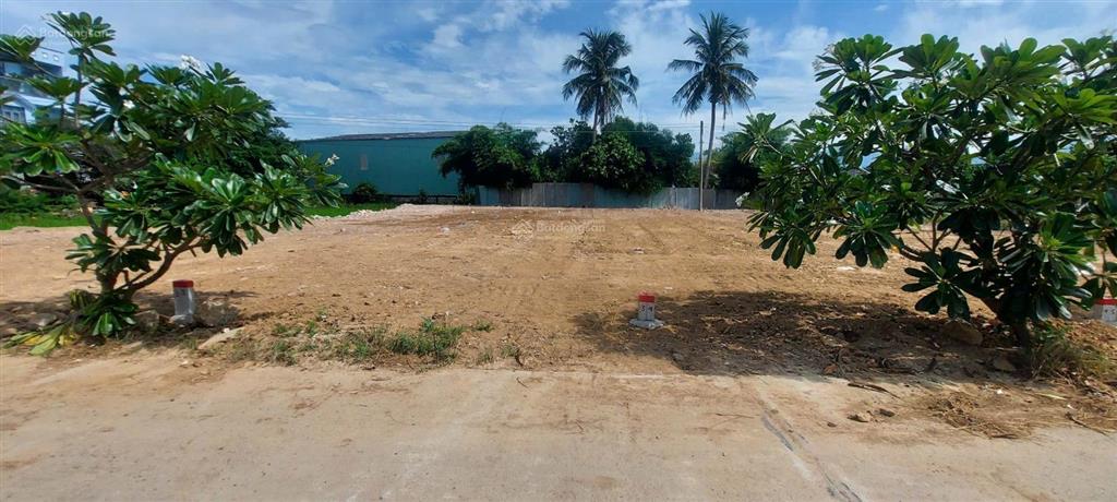 Đất mặt tiền đường betong cây duối diên an (đường thông)