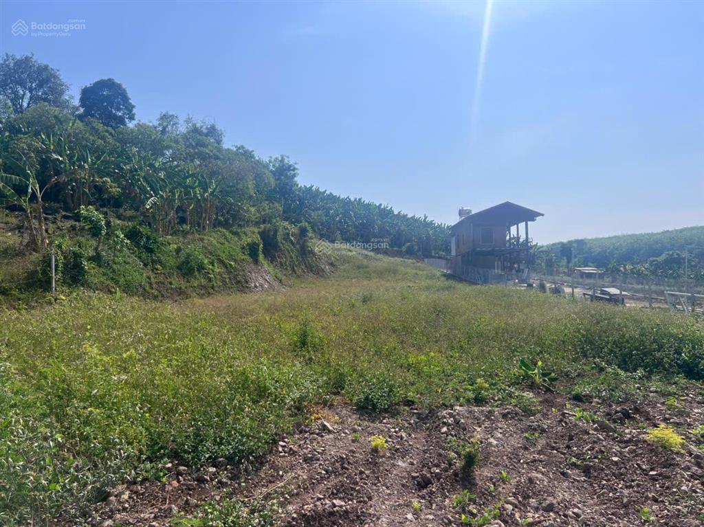 Bán nhanh lô đất xã kim long tp hcm diện tích 1500m2, sổ hồng riêng 1.470 tỷ