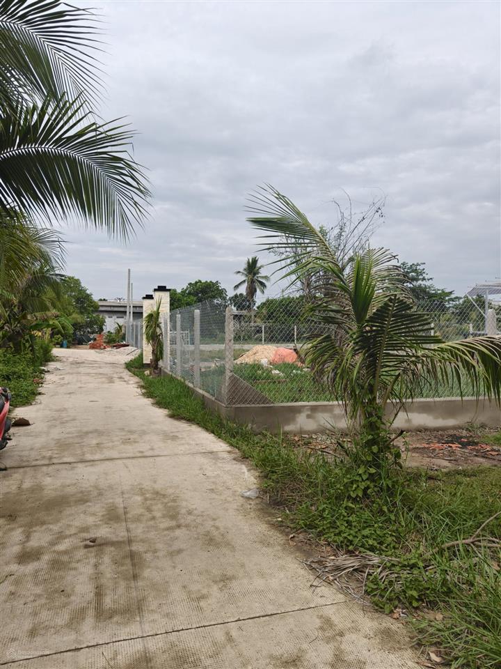 Gồng ngân hàng không nổi nên cần bán miếng đất trảng bàng trả nợ, 220m2, chỉ 450tr