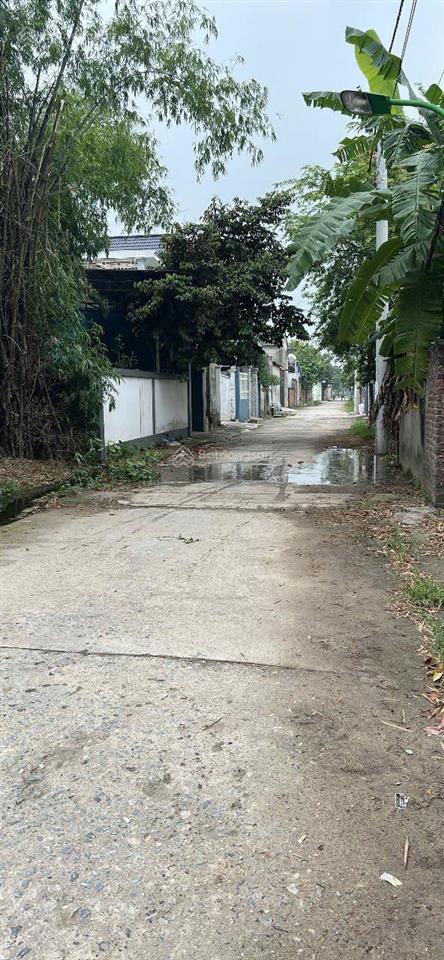 Ông chủ cần tiền để thanh toán nhà ở xã hội nên cần bán gấp mảnh đất đẹp với bao nhiêu tâm huyết