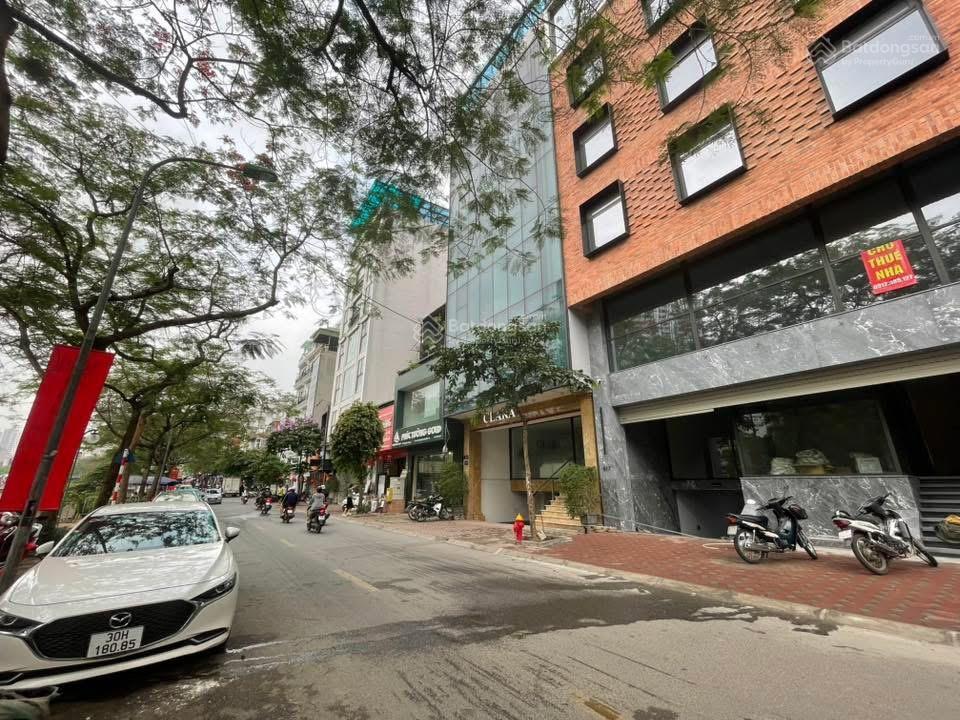 Mặt phố nguyễn khang 95m x 8t thang máy, mt 5m ô tô tránh vỉa hè kinh doanh 44 tỷ