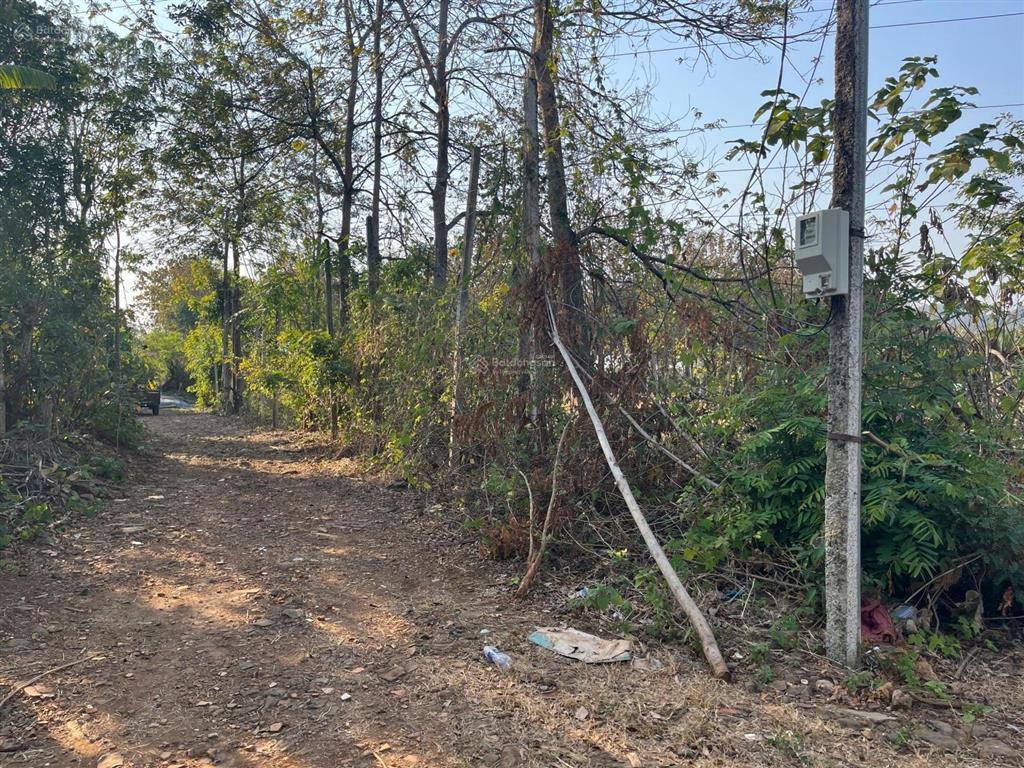 Bán đất hẻm cuối nguyễn thị định, 500 triệu, 500m2, view đẹp, uy tín. cách siêu thị go khoảng 4km
